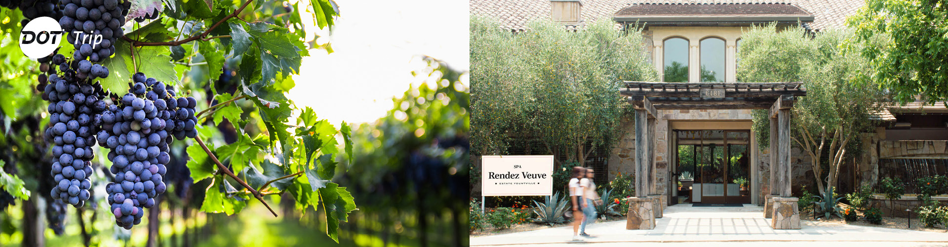 Dot Trip - Napa Valley